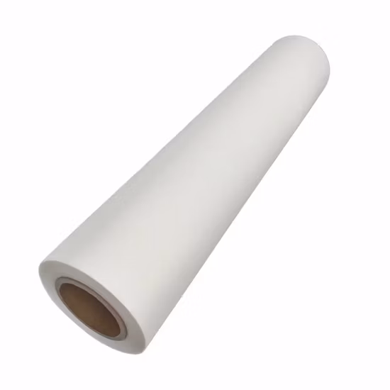 Qingyi Factory Direct Dtf Pet Film Transfert de chaleur Pet Film 30 cm, 60 cm avec pelage chaud et froid
